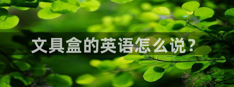 龙八国际long88：文具盒的英语怎么说
