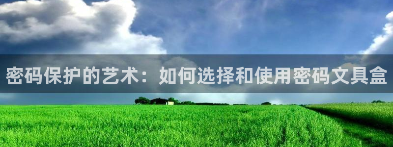 龙八国际b48点tv：密码保护的艺术：如