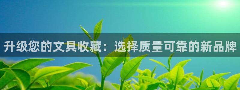 龙八国际娱乐 pt：升级您的文具收藏：选