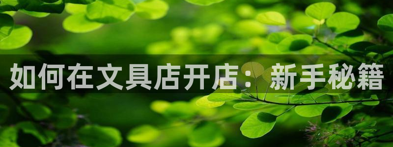 龙八国际手机下载安装：如何在文具店开店：