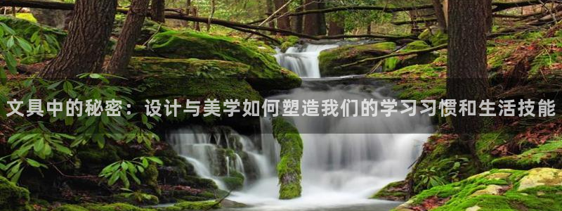 龙八国际娱 乐：文具中的秘密：设计与美学