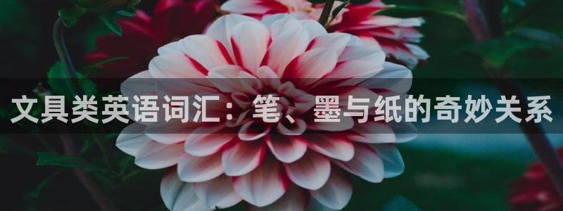 龙八国际q18 tv：文具类英语词汇：笔