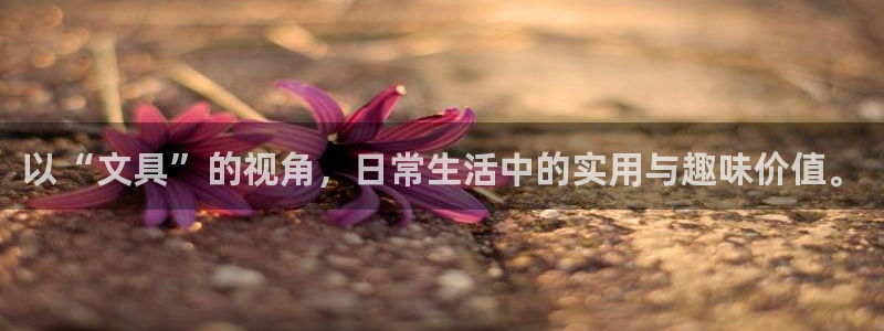 龙八国际网站：以“文具”的视角，日常生活