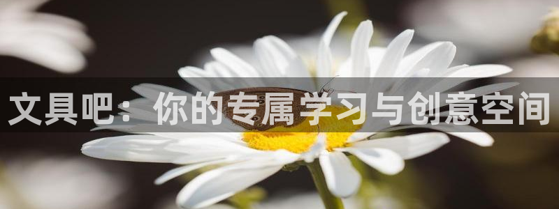 龙八国际兑换码：文具吧：你的专属学习与创