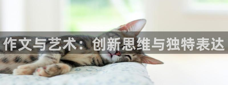 龙八国际娱乐网站多少：作文与艺术：创新思