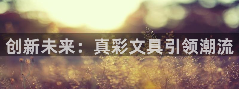 龙八国际软件下载：创新未来：真彩文具引领