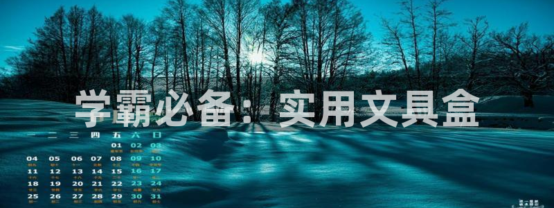 龙八国际公司是真是假：学霸必备：实用文具