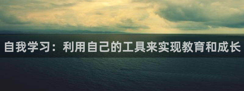 龙八国际什么诈骗：自我学习：利用自己的工