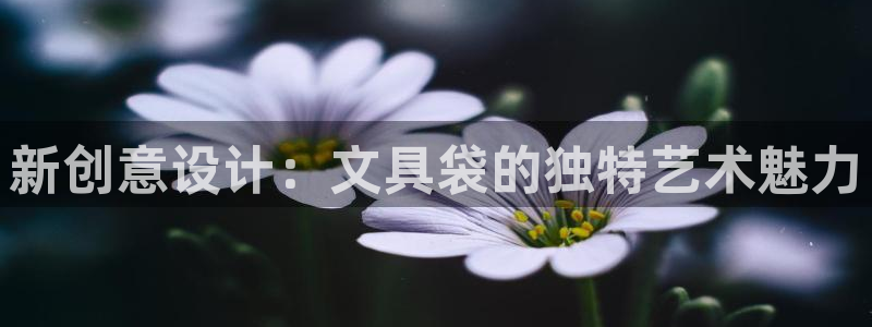 龙八国际客户端：新创意设计：文具袋的独特